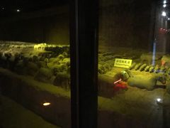 -汉景帝阳陵博物院