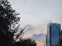 -粤凤佬