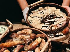 -蘑界·野生菌火锅(深业上城店)