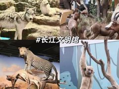 -武汉园博园(武汉自然博物馆)