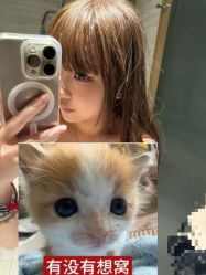 -DL HOPE明星造型