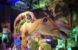 -恐龙探索乐园(磁器口店)