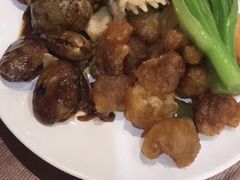 -东方御宴海鲜酒楼(棕泉酒店)
