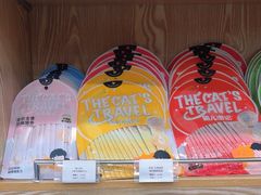 -四月宠物医院·猫专科·心脏专科·内科(转塘店)