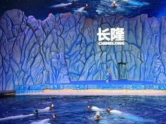 -珠海长隆海洋王国