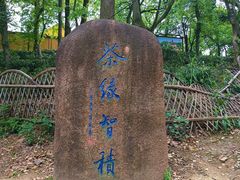 -灵岩山风景区