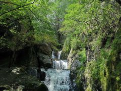 -牛背梁国家森林公园