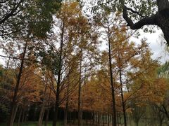-华东政法大学(松江校区)
