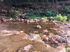 -溪口-滕头旅游景区