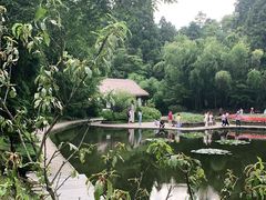 -庐山风景区花径公园