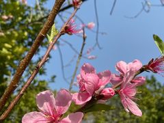 -艾溪湖湿地公园