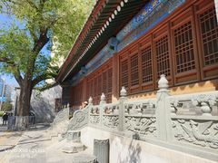 -法兴寺
