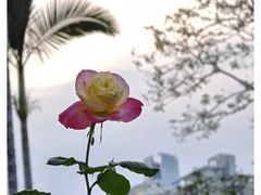 -人民公园(罗湖区)