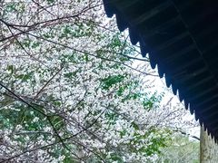 -钱王祠