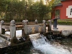 -百脉泉景区
