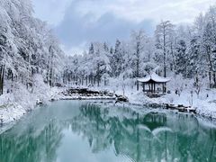 -溪口商量岗景区