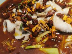 川椒麻辣鱼-丁记盐蘸牛肉·新杭菜(河东路店)