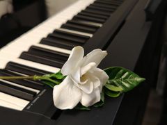 -归元·云集斋素菜馆