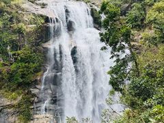 -海南热带雨林国家公园吊罗山景区
