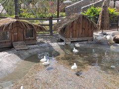 -珠海海泉湾神秘岛亲子乐园