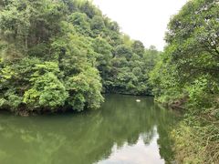 景点-滴水洞景区