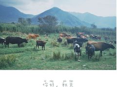 -石棉县孟获城