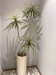 -Lily纤美·科技减脂中心