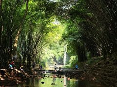 -川西竹海景区