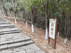 -游子山休闲旅游区
