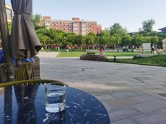 -The Rug Cafe(王府中环店)