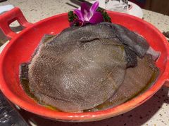 -二荆条·蜀鲜汇城市森林火锅