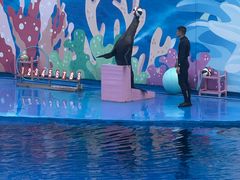 -北戴河圣蓝海洋公园