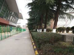 -陕西省游泳跳水馆