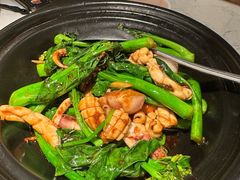 芥兰苗啫鲜鱿-大榕树下顺德菜(融创茂店)
