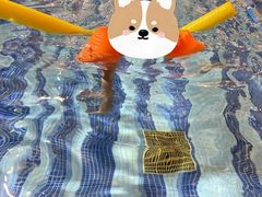 -鹏湃星少儿游泳运动中心(西溪店)