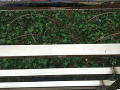 -白鹿原葡萄主题公园