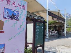 -北京凤凰岭
