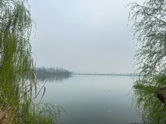 -东梓关景区村庄