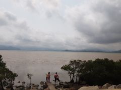 -深圳湾公园(南山区)