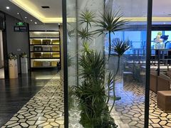-点石家装(总部旗舰店)