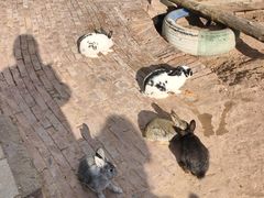 -鄂尔多斯野生动物园