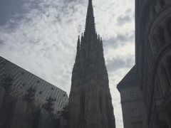 -斯蒂芬主教座堂(Stephansdom)