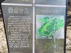 -白水寺森林公园