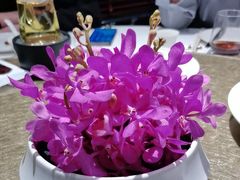 -上海总会SHANGHAICLUB(兴业太古汇店)