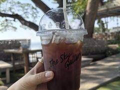 -网红落日悬崖餐厅 The Sky Gallery