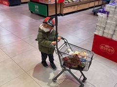 -盒马X会员店(王府井奥莱UP TOWN店)