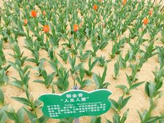 -公益图书馆(江南大学店)