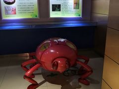 -上海昆虫博物馆