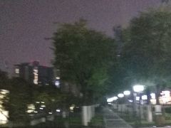 -木塔寺遗址生态公园