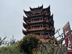 -黄鹤楼公园(黄鹤楼)